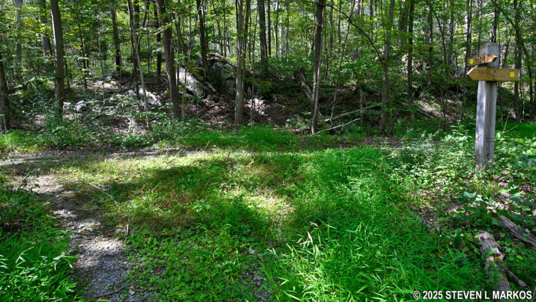Sharp left turn on the Newbold Trail at Home of Franklin D. Roosevelt National Historic Site