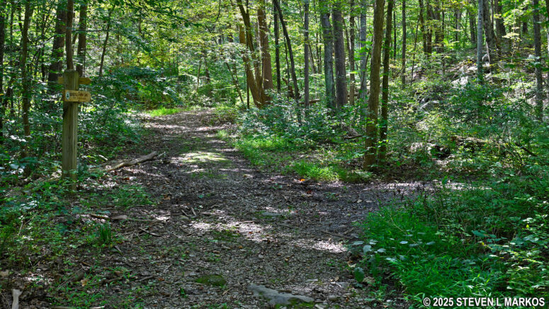 Intersection of the Newbold and Bracken Pond trails, Home of Franklin D. Roosevelt National Historic Site