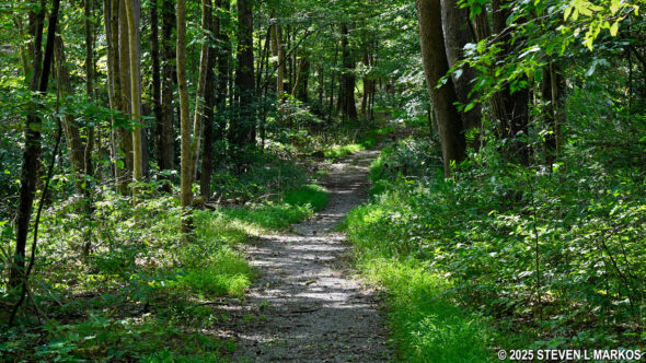 Newbold Trail at Home of Franklin D. Roosevelt National Historic Site