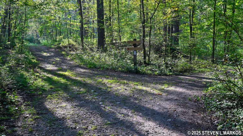 Split between the Top Cottage Trail and Eleanor's Walk, Eleanor Roosevelt National Historic Site