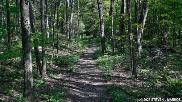 Eleanor's Walk at Eleanor Roosevelt National Historic Site