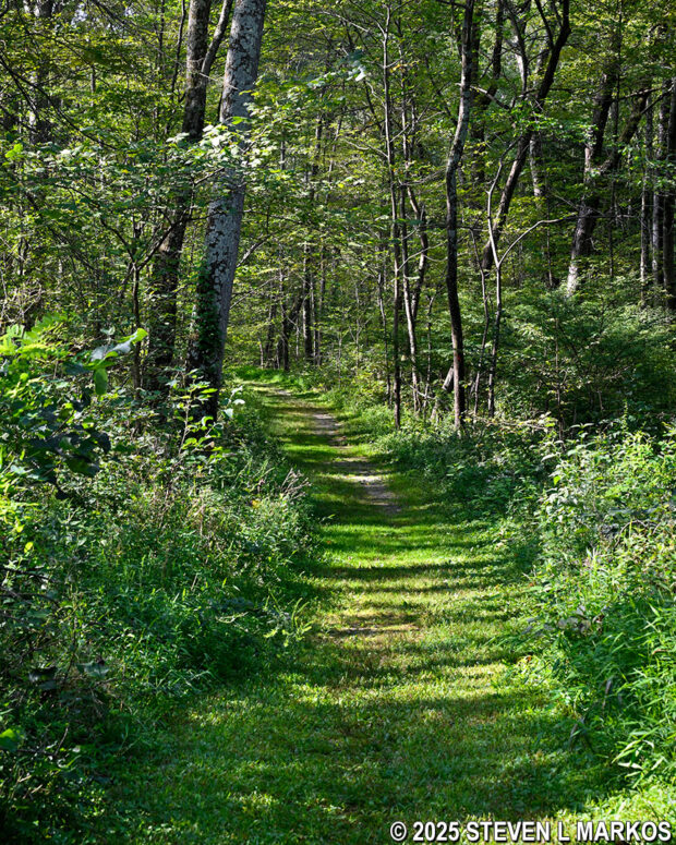 Typical terrain on the first quarter mile of Eleanor's Walk, Eleanor Roosevelt National Historic Site