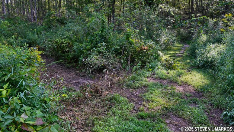 Unmapped intersection on Eleanor's Walk just east of the Old Beaver Dam Pond, Eleanor Roosevelt National Historic Site