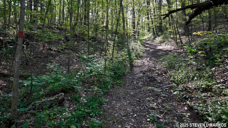 Hilly terrain near the midway point on Eleanor's Walk, Eleanor Roosevelt National Historic Site