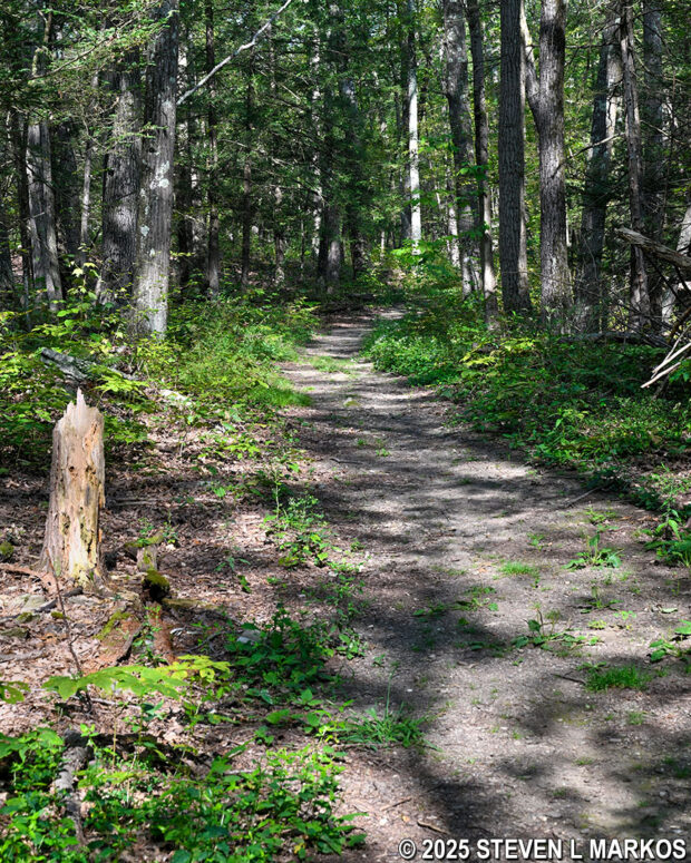 Typical terrain on the hilly northern side of the Eleanor's Walk loop trail in Eleanor Roosevelt National Historic Site