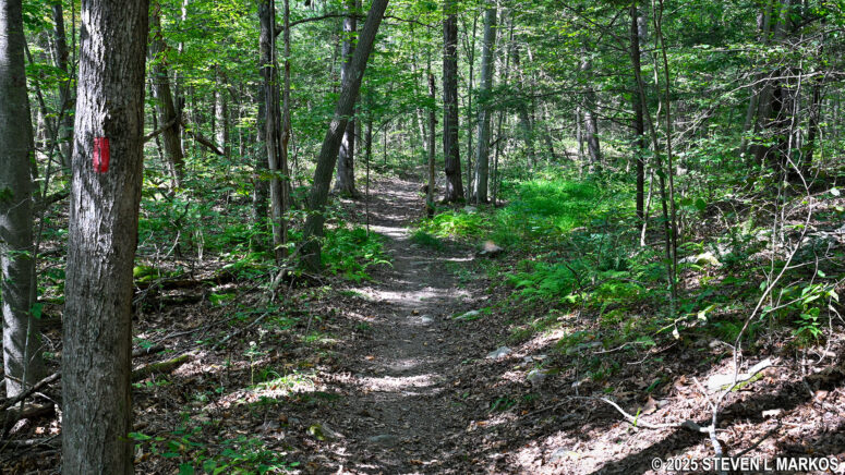 Red blazes mark the route of the Bracken Pond Trail at Home of Franklin D. Roosevelt National Historic Site