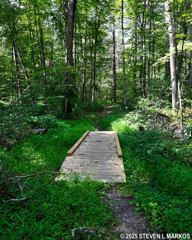 Short boardwalk through a wet area on the Bracken Pond Trail at Home of Franklin D. Roosevelt National Historic Site