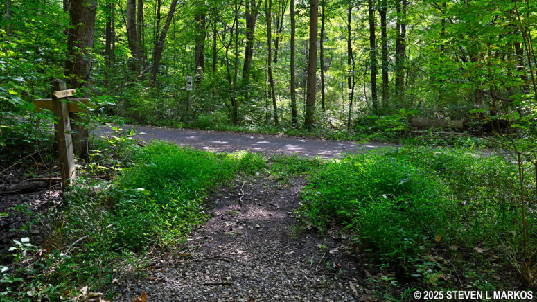 Western intersection of the Bracken Pond Trail and Roosevelt Farm Lane, Home of Franklin D. Roosevelt National Historic Site