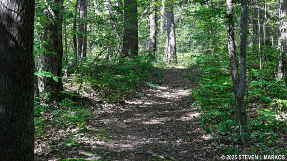 Bracken Pond Trail at Home of Franklin D. Roosevelt National Historic Site