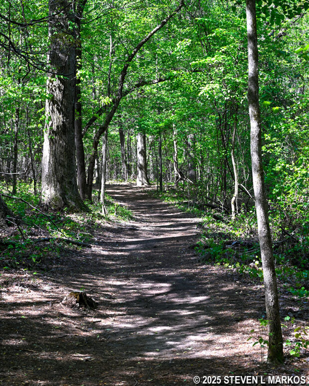 Typical terrain on the western side of the Environmental Trail loop at Kennesaw Mountain National Battlefield Park