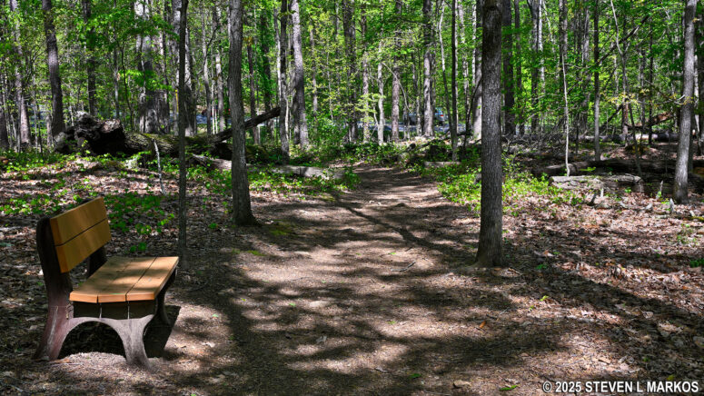 Typical terrain on the eastern end of the 24-Gun Battery Trail in Kennesaw Mountain National Battlefield Park