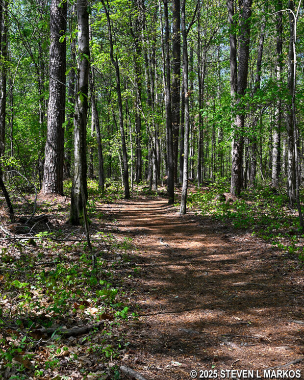 Typical terrain on the 24-Gun Battery Trail west of Old Mountain Road, Kennesaw Mountain National Battlefield Park