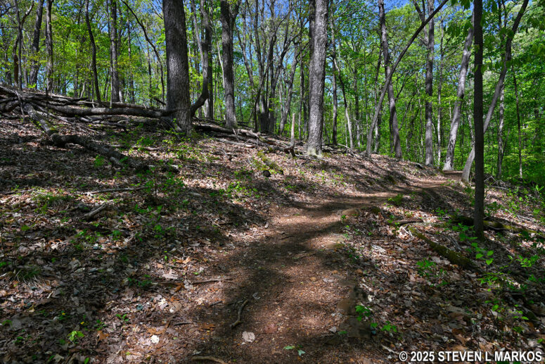 Steepest hill on the 24-Gun Battery Trail at Kennesaw Mountain National Battlefield Park
