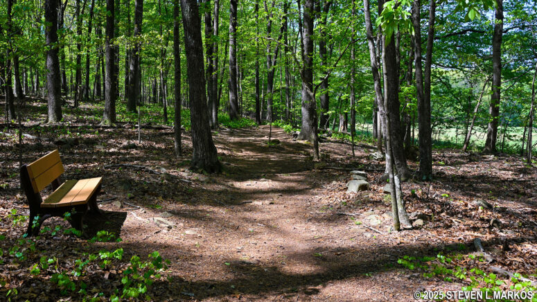 Typical terrain on the western half of the 24-Gun Battery Trail at Kennesaw Mountain National Battlefield Park