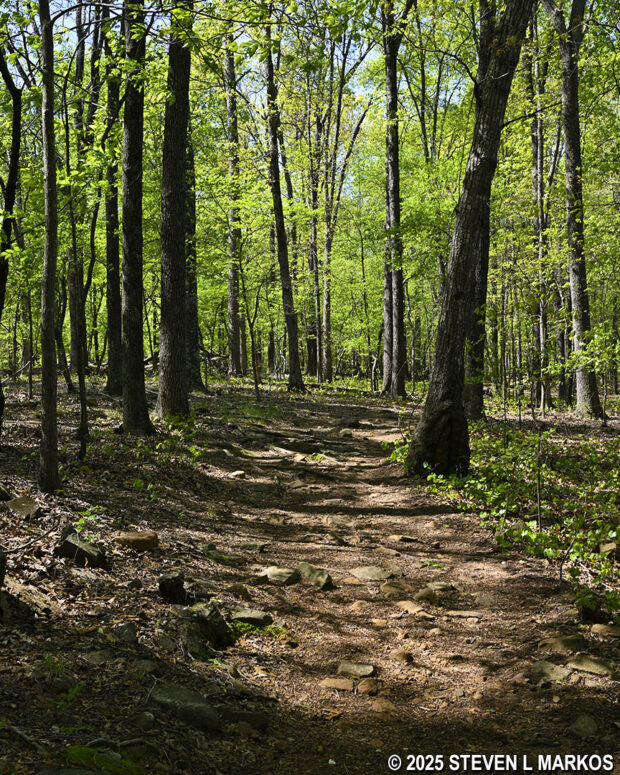 Rocky section of the 24-Gun Battery Trail at Kennesaw Mountain National Battlefield Park