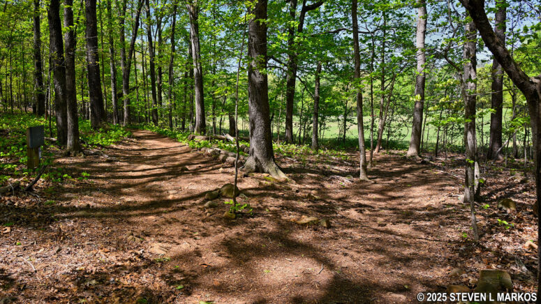 Trail to a large field forks off to the right of the 24-Gun Battery Trail, Kennesaw Mountain National Battlefield Park