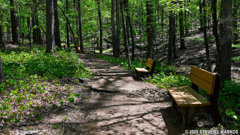 Typical terrain on the west side of the Environmental Trail at Kennesaw Mountain National Battlefield Park