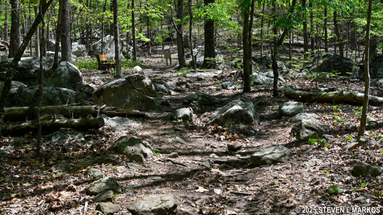 Rocky terrain on the west side of the Environmental Trail at Kennesaw Mountain National Battlefield Park