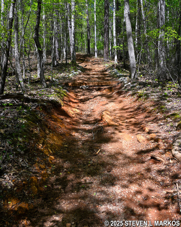 Steep hill on the western half of the Kolb Farm Loop Hike at Kennesaw Mountain National Battlefield Park