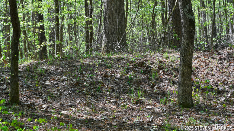 Remnants of a Civil War earthwork along the Kolb Farm West Trail at Kennesaw Mountain National Battlefield Park