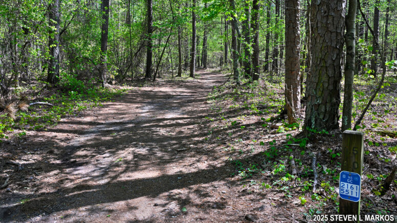 Typical terrain on the southwestern side of the Kolb Farm Loop Hike near Powder Springs Road, Kennesaw Mountain National Battlefield Park
