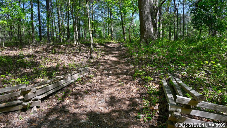 Side trail to Powder Springs Road at the southern end of the Kolb Farm Loop Hike, Kennesaw Mountain National Battlefield Park