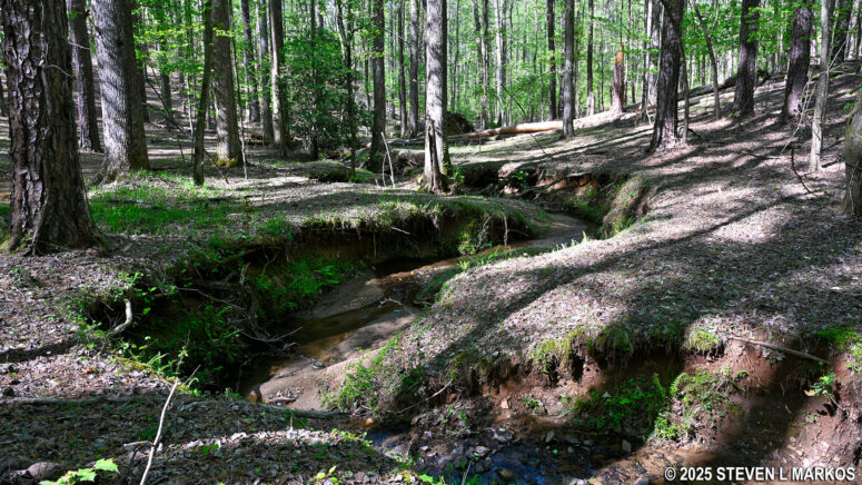 Creek on the east side of the Kolb Farm Loop Hike in Kennesaw Mountain National Battlefield Park