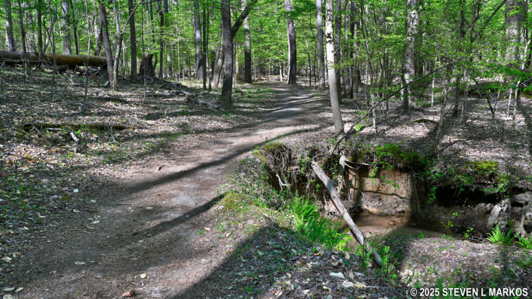Erosion caused by a creek on the east side of the Kolb Farm Loop Hike in Kennesaw Mountain National Battlefield Park