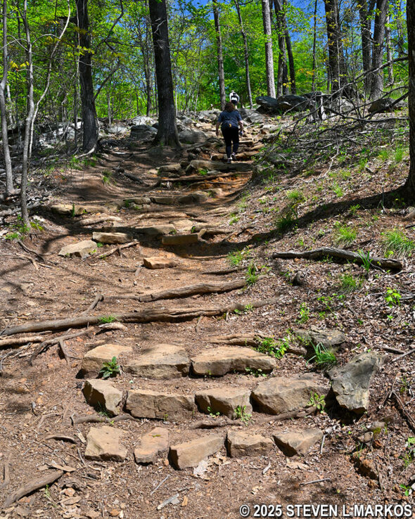 Steep terrain at the start of the Pigeon Hill Trail at Burnt Hickory Road, Kennesaw Mountain National Battlefield Park