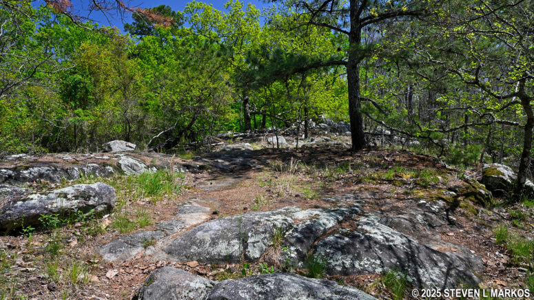 Pigeon Hill Trail near the top of Pigeon Hill, Kennesaw Mountain National Battlefield Park