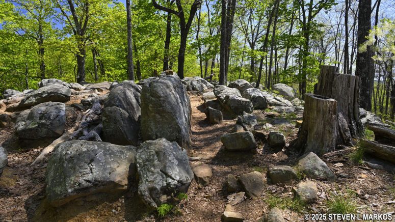 Typical terrain on the Pigeon Hill Trail at the top of Pigeon Hill, Kennesaw Mountain National Battlefield Park