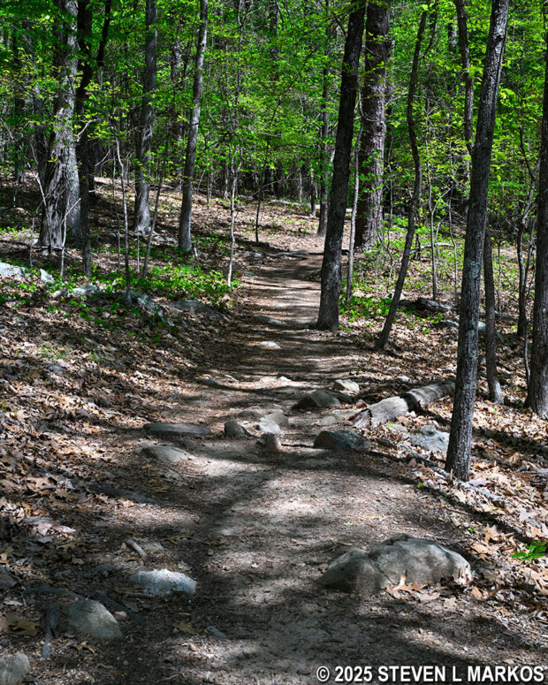 Typical terrain on the Little Kennesaw Cutoff at the top of Pigeon Hill, Kennesaw Mountain National Battlefield Park