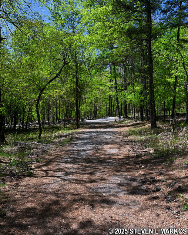 Eastern side of the Pigeon Hill Cutoff, Kennesaw Mountain National Battlefield Park
