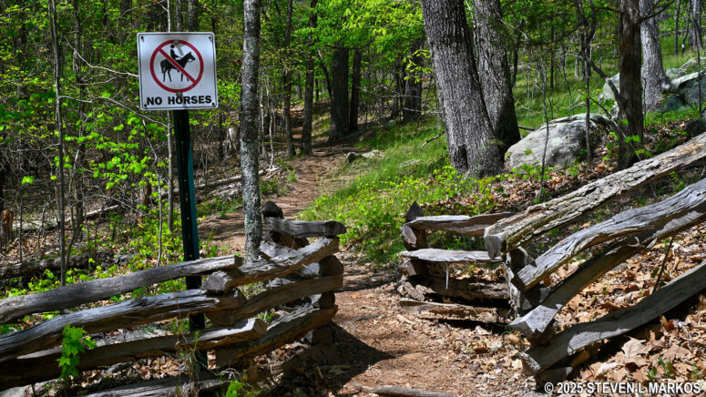 Western segment of the Pigeon Hill Cutoff is a narrow hiking trail, Kennesaw Mountain National Battlefield Park