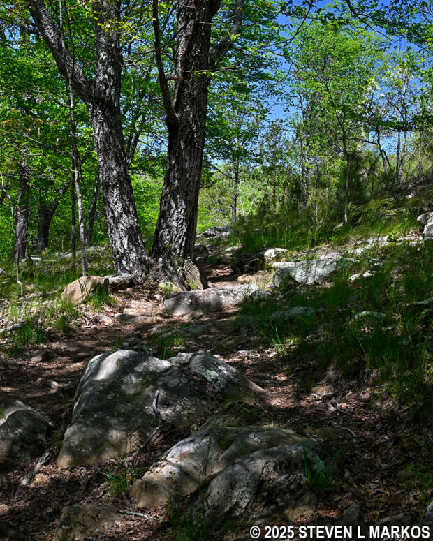 Typical terrain on the western end of the Pigeon Hill Cutoff, Kennesaw Mountain National Battlefield Park
