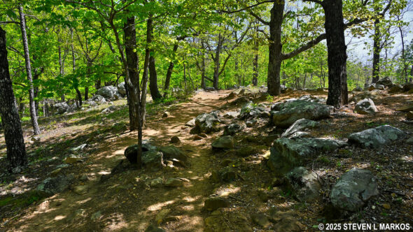 Pigeon Hill Trail at Kennesaw Mountain National Battlefield Park