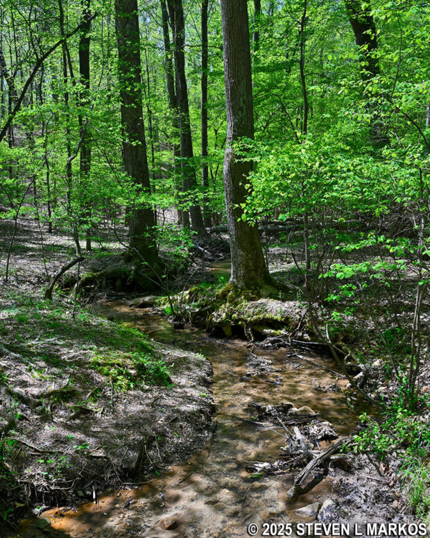 Creek at the northern end of the Noses Creek Trail in Kennesaw Mountain National Battlefield Park
