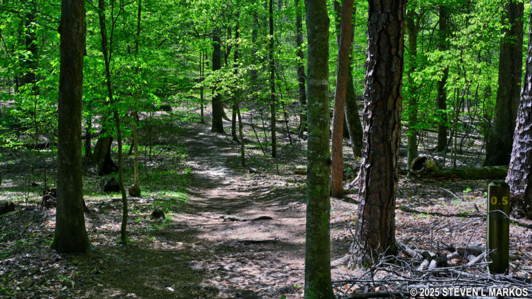 Mileage post at the .5-mile mark on the Noses Creek Loop Hike in Kennesaw Mountain National Battlefield Park