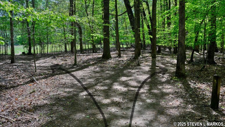 Intersection at the northern end of the Hardage Mill Trail that is not on the trail map, Kennesaw Mountain National Battlefield Park
