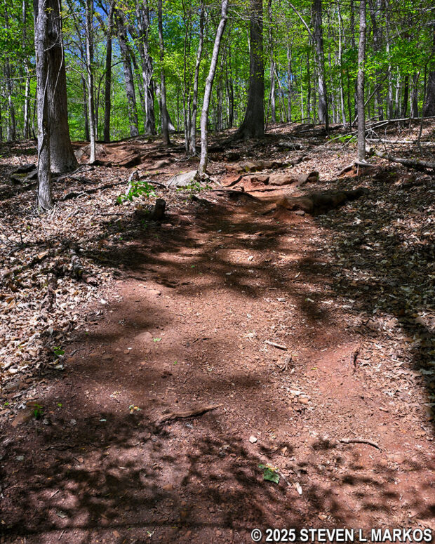 Steep hill on the Hardage Mill Trail North at Kennesaw Mountain National Battlefield Park