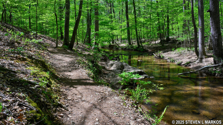 Northern end of the Hardage Mill Trail South starts off following Noses Creek, Kennesaw Mountain National Battlefield Park