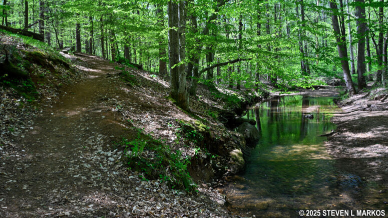 Hardage Mill Trail South veers from Noses Creek, Kennesaw Mountain National Battlefield