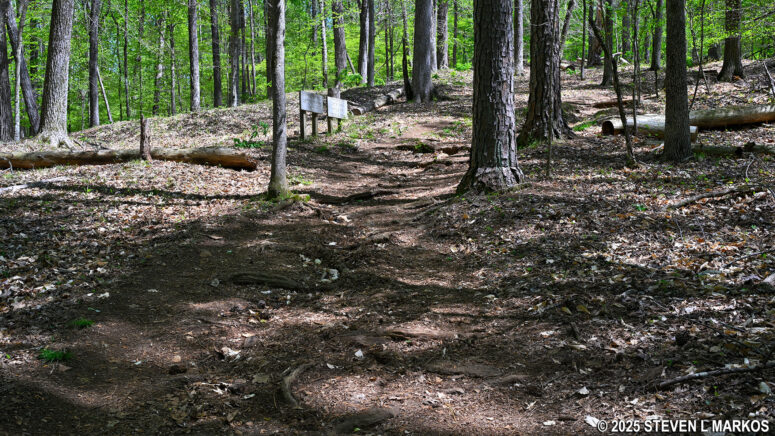 Steep hill at the northern end of the Hardage Mill Trail South, Kennesaw Mountain National Battlefield Park