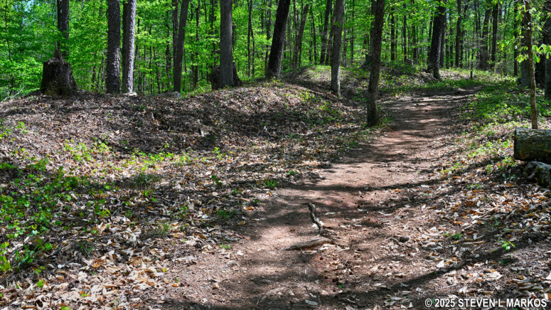 Confederate earthworks just south of Noses Creek along the Hardage Mill Trail, Kennesaw Mountain National Battlefield Park