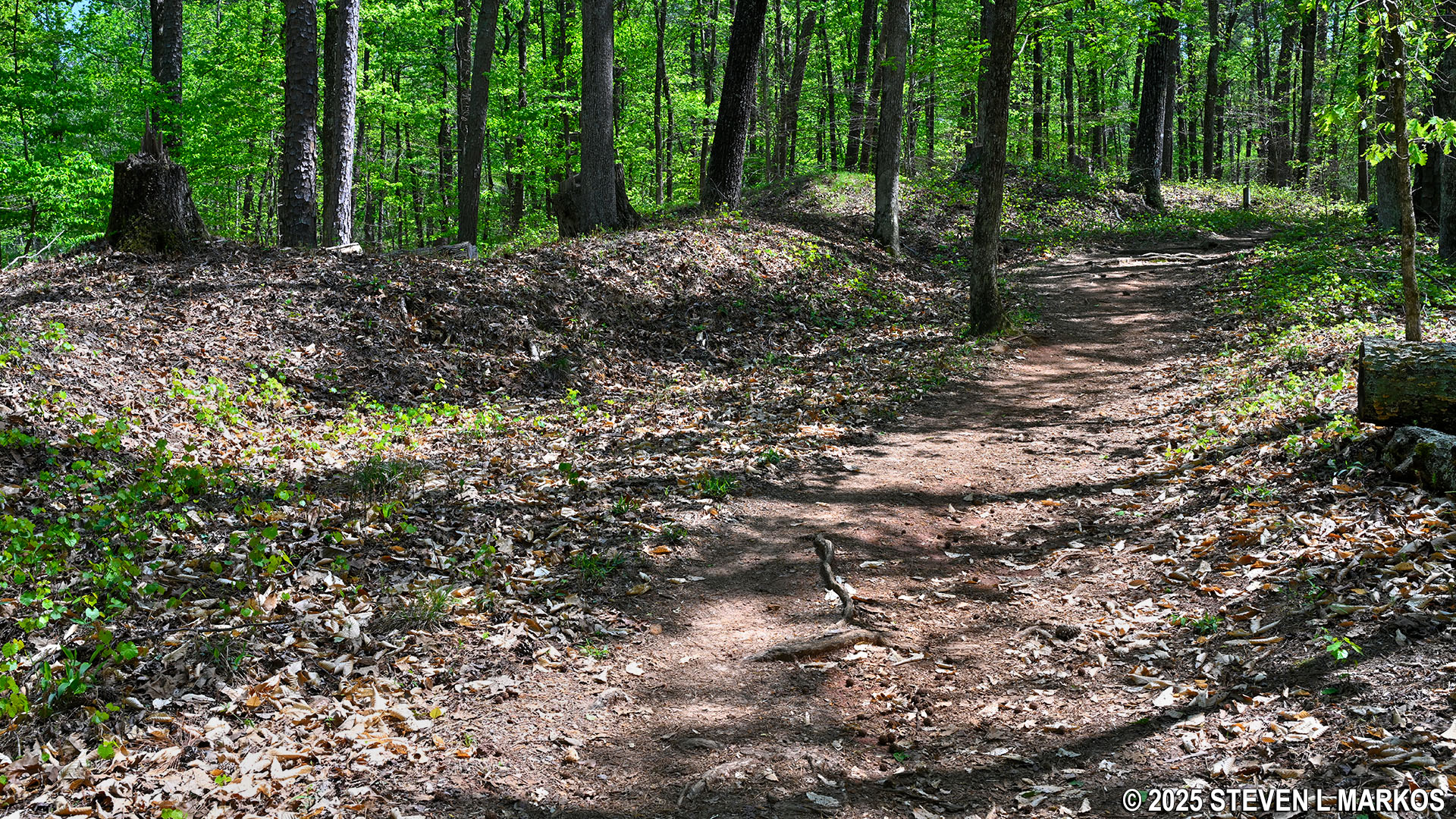 Kennesaw Mountain National Battlefield Park | NOSES CREEK LOOP HIKE |