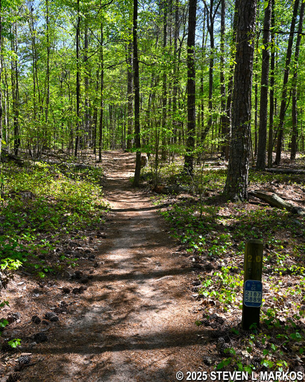 Typical terrain at the southern end of the Hardage Mill Trail South, Kennesaw Mountain National Battlefield Park
