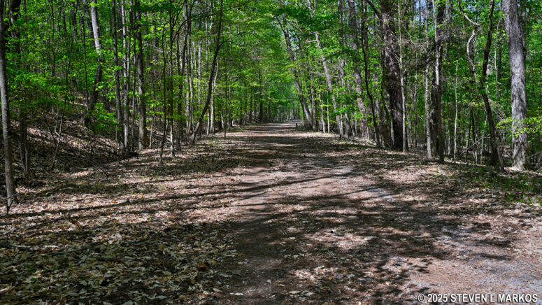 Typical terrain on the Noses Creek Trail, Kennesaw Mountain National Battlefield Park