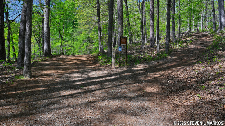 Intersection of the Noses Creek and New Salem Church trails, Kennesaw Mountain National Battlefield Park