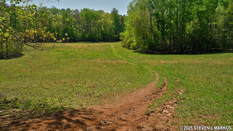 Field near the northern intersection of the Noses Creek Trail and Hardage Mill Trail North, Kennesaw Mountain National Battlefield Park