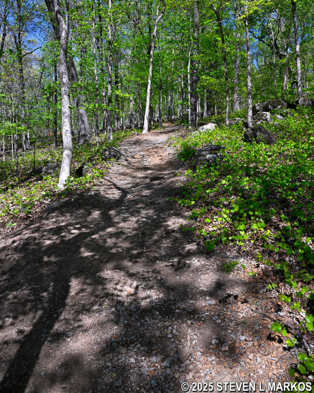 Steep hill at the southern end of the New Salem Church Trail in Kennesaw Mountain National Battlefield Park